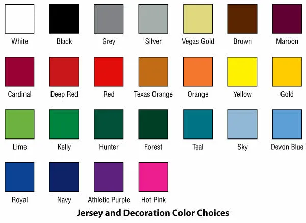 Dynamic Team Sports Forecheck Custom Sublimated Hockey Jersey