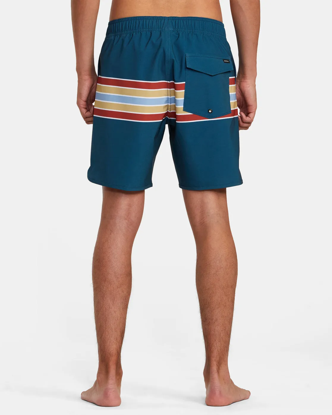 Eastern Elastic Trunk