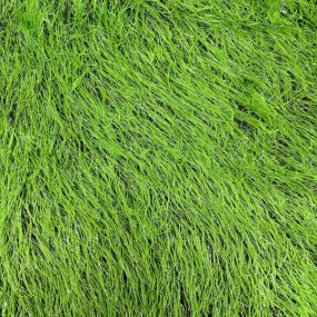 Neon Lime Green | Silver Metallic Faux Ostrich Feather Lace Fabric